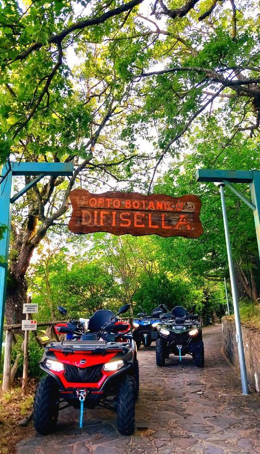Sant'Elia B&B Alessandria del Carretto Экстерьер фото