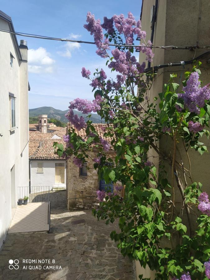 Sant'Elia B&B Alessandria del Carretto Экстерьер фото